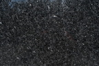 ANGOLA BLACK 3CM LOT 3LP629523CL 127X76